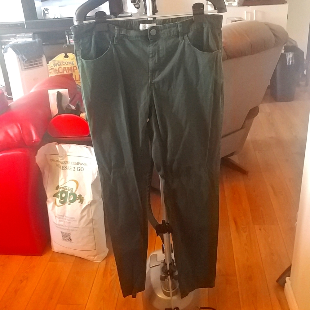 10/$10 Reitmans Green Jeans 13 Junior